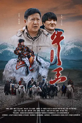 11月院线持续活跃，多部新片接连上映。