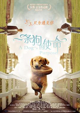 当天，GaGa身穿咖色波点连衣裙搭配同色系高跟鞋，复古摩登感满满；亚当·德赖弗穿着修身西装，绅士范十足。